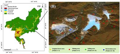 Effects of gold and copper mining on the structure and diversity of the surrounding plant communities in Northeast Tiger and Leopard National Park